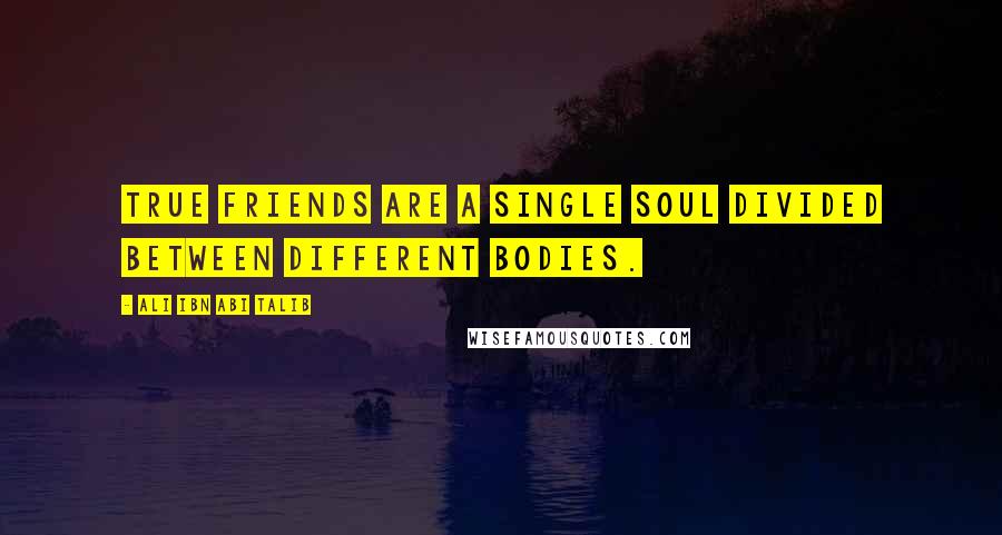 Ali Ibn Abi Talib Quotes: True friends are a single soul divided between different bodies.