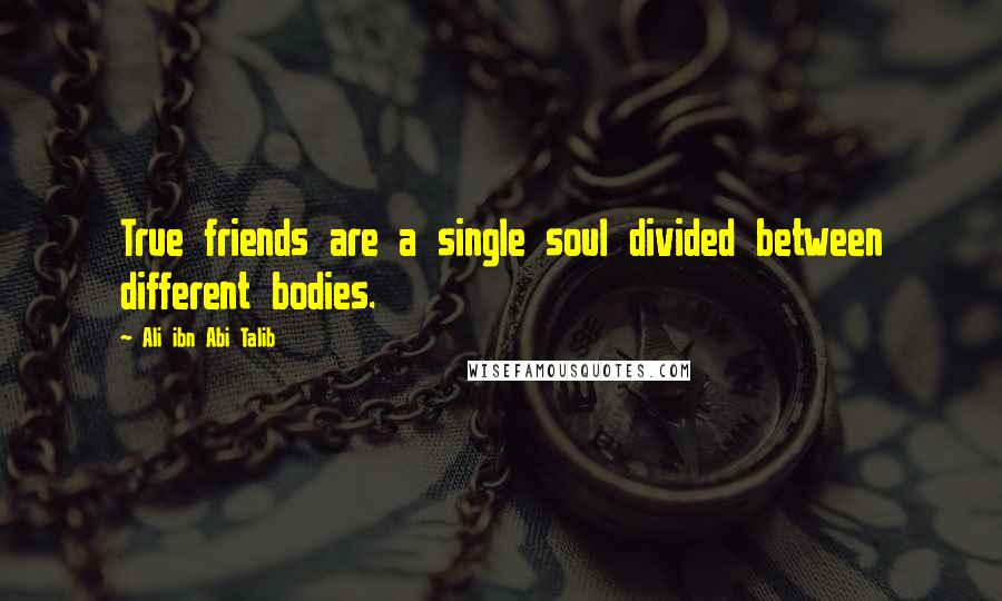 Ali Ibn Abi Talib Quotes: True friends are a single soul divided between different bodies.