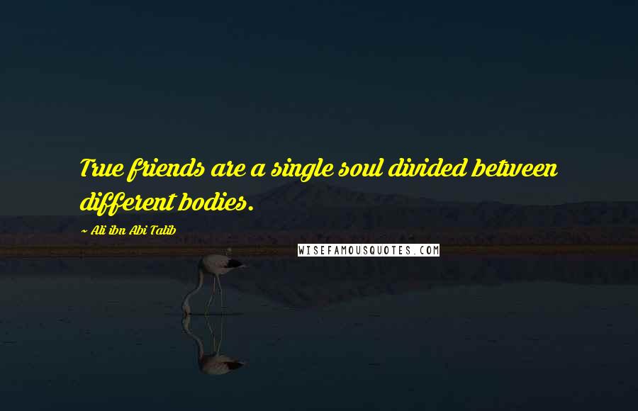 Ali Ibn Abi Talib Quotes: True friends are a single soul divided between different bodies.