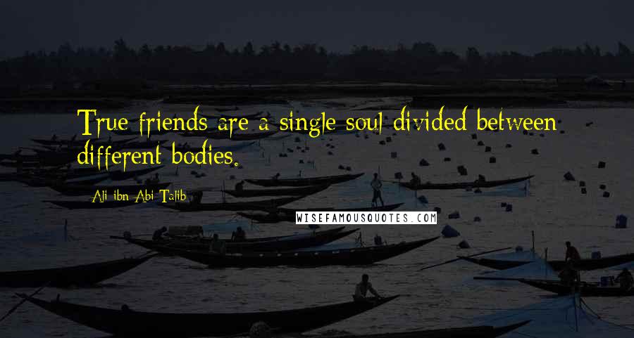 Ali Ibn Abi Talib Quotes: True friends are a single soul divided between different bodies.