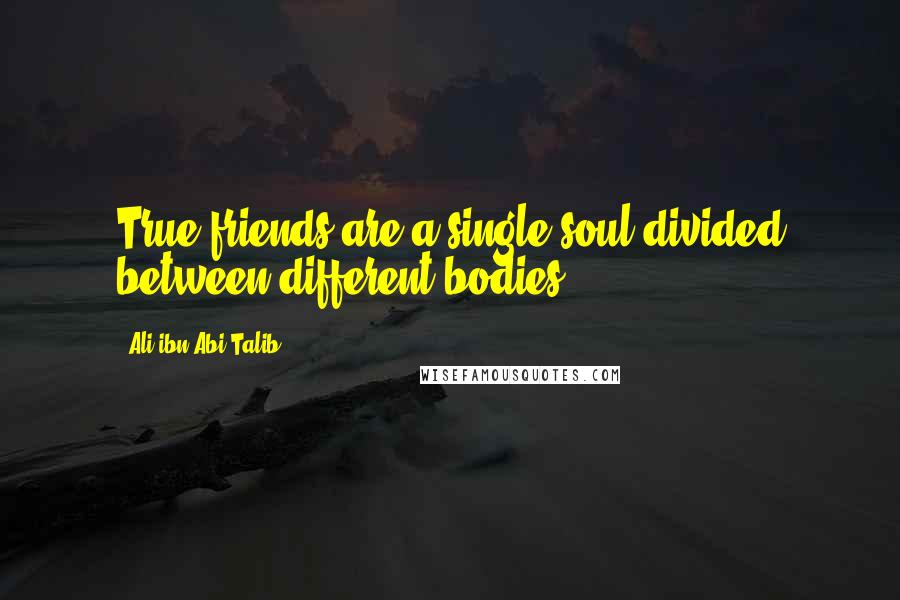 Ali Ibn Abi Talib Quotes: True friends are a single soul divided between different bodies.