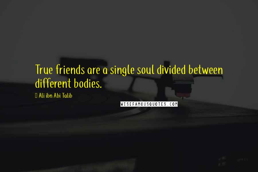 Ali Ibn Abi Talib Quotes: True friends are a single soul divided between different bodies.