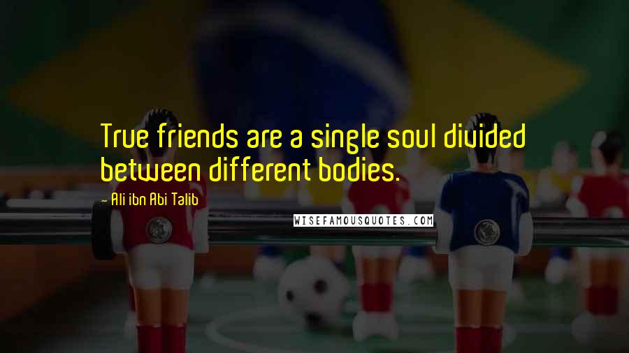 Ali Ibn Abi Talib Quotes: True friends are a single soul divided between different bodies.