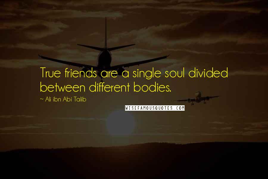 Ali Ibn Abi Talib Quotes: True friends are a single soul divided between different bodies.