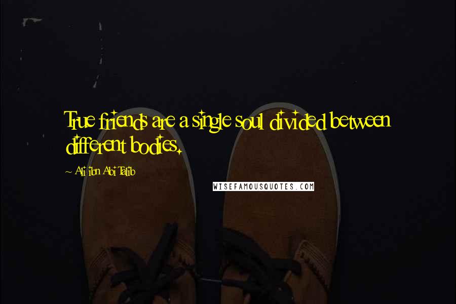 Ali Ibn Abi Talib Quotes: True friends are a single soul divided between different bodies.