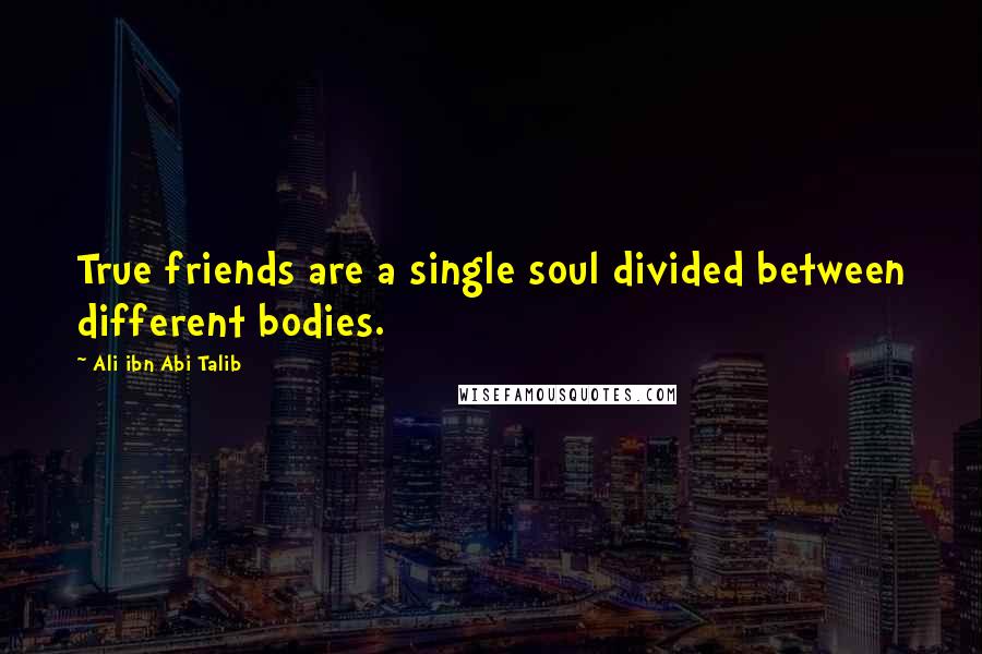 Ali Ibn Abi Talib Quotes: True friends are a single soul divided between different bodies.