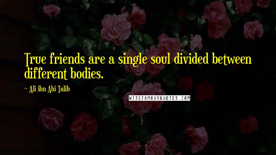 Ali Ibn Abi Talib Quotes: True friends are a single soul divided between different bodies.