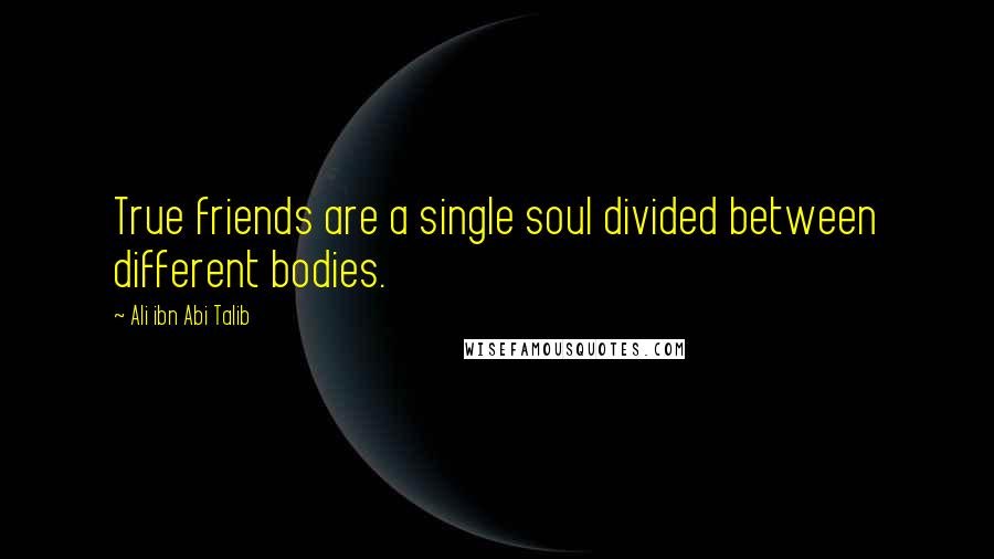 Ali Ibn Abi Talib Quotes: True friends are a single soul divided between different bodies.