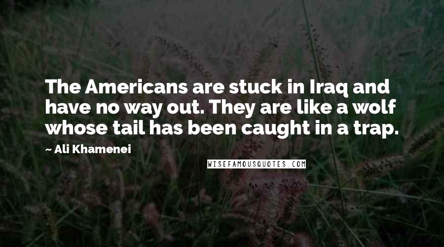 Ali Khamenei Quotes: The Americans are stuck in Iraq and have no way out. They are like a wolf whose tail has been caught in a trap.