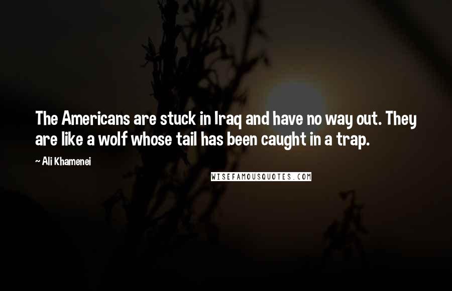 Ali Khamenei Quotes: The Americans are stuck in Iraq and have no way out. They are like a wolf whose tail has been caught in a trap.