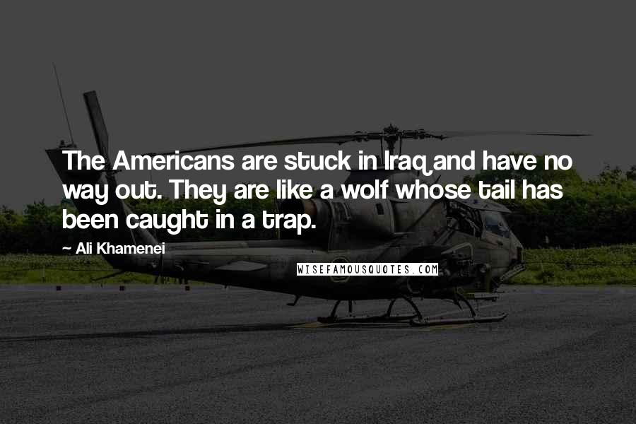 Ali Khamenei Quotes: The Americans are stuck in Iraq and have no way out. They are like a wolf whose tail has been caught in a trap.