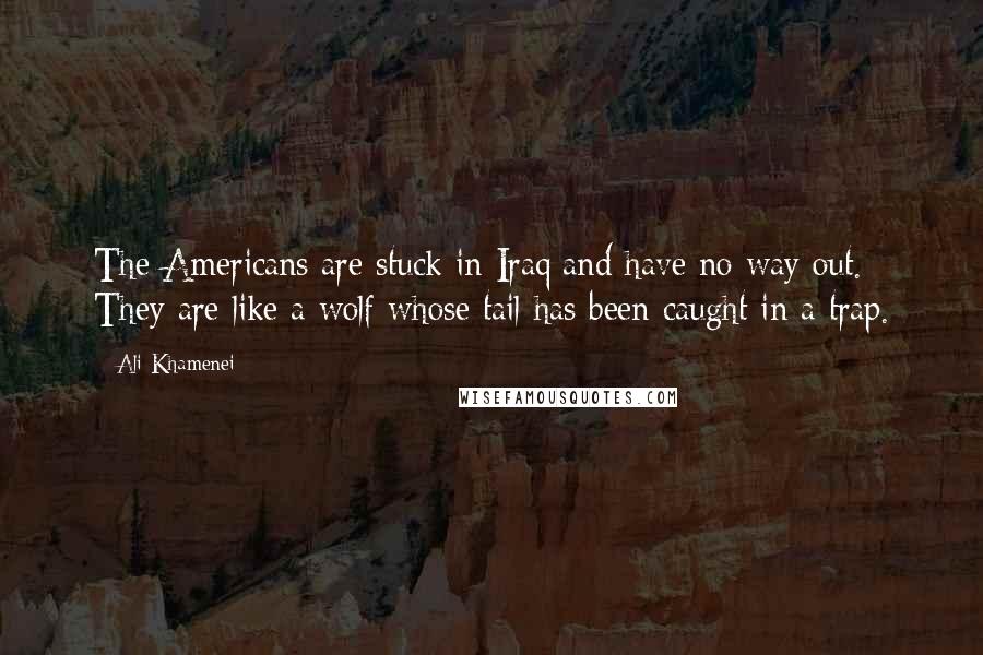 Ali Khamenei Quotes: The Americans are stuck in Iraq and have no way out. They are like a wolf whose tail has been caught in a trap.