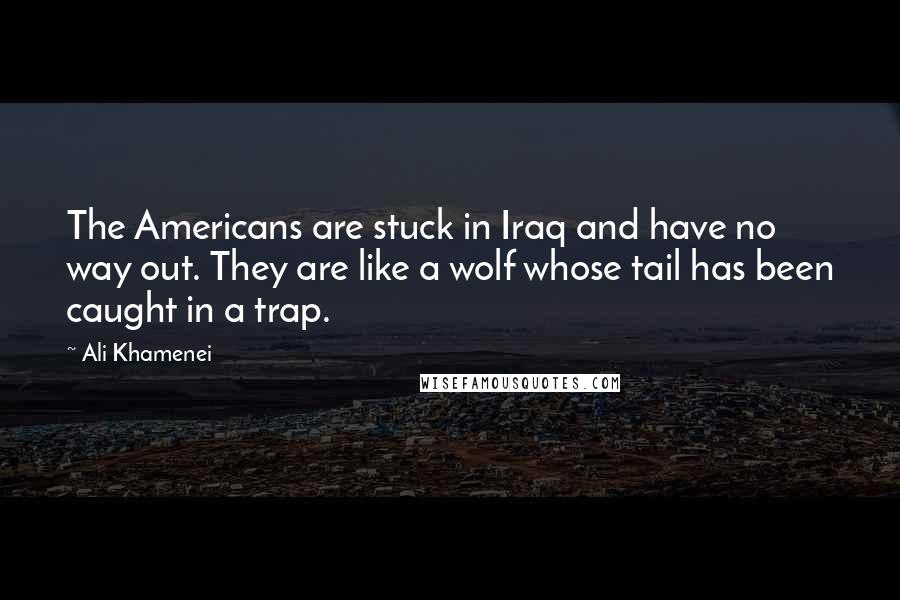 Ali Khamenei Quotes: The Americans are stuck in Iraq and have no way out. They are like a wolf whose tail has been caught in a trap.