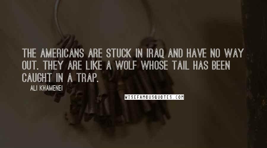 Ali Khamenei Quotes: The Americans are stuck in Iraq and have no way out. They are like a wolf whose tail has been caught in a trap.