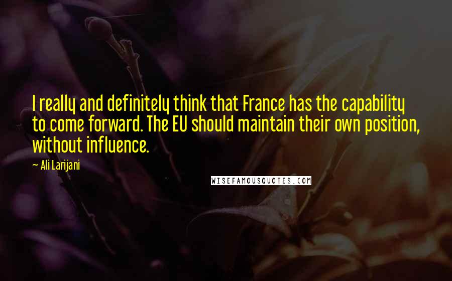 Ali Larijani Quotes: I really and definitely think that France has the capability to come forward. The EU should maintain their own position, without influence.