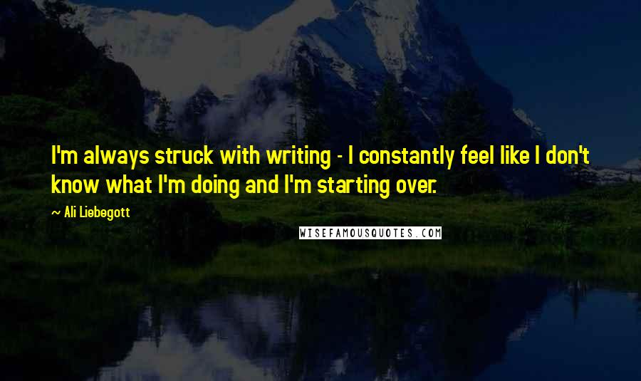 Ali Liebegott Quotes: I'm always struck with writing - I constantly feel like I don't know what I'm doing and I'm starting over.