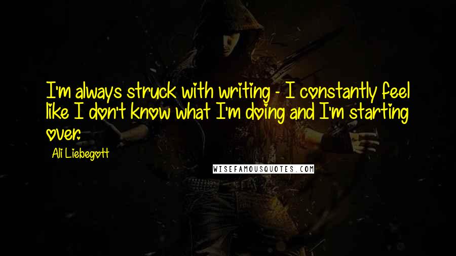 Ali Liebegott Quotes: I'm always struck with writing - I constantly feel like I don't know what I'm doing and I'm starting over.