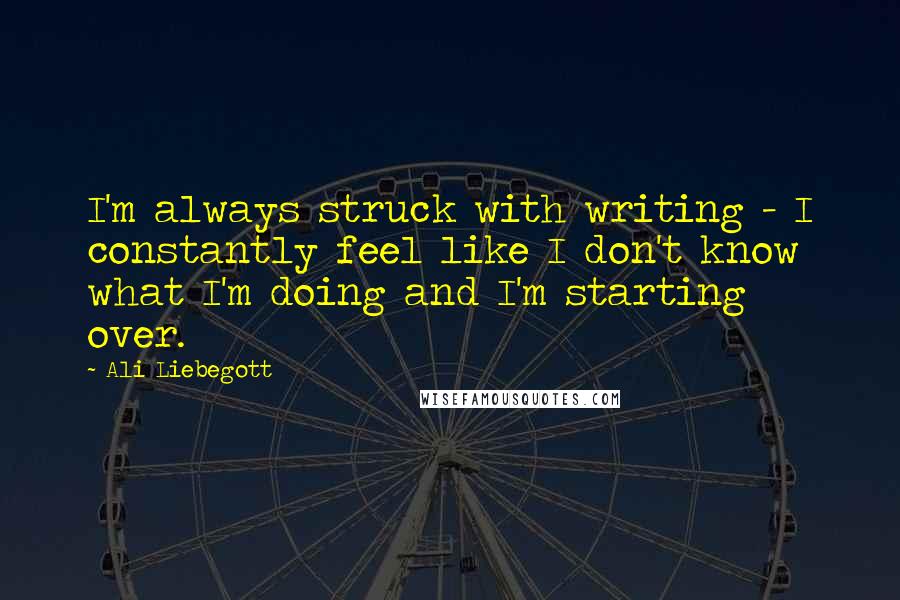 Ali Liebegott Quotes: I'm always struck with writing - I constantly feel like I don't know what I'm doing and I'm starting over.