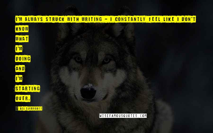 Ali Liebegott Quotes: I'm always struck with writing - I constantly feel like I don't know what I'm doing and I'm starting over.