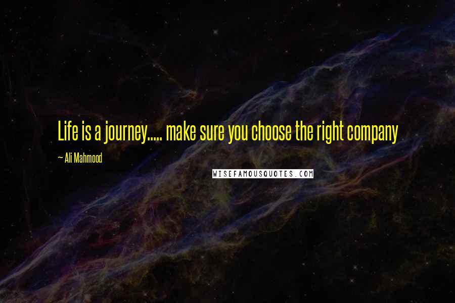 Ali Mahmood Quotes: Life is a journey..... make sure you choose the right company