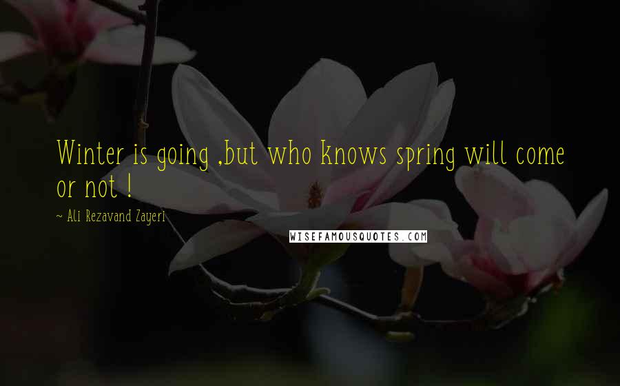 Ali Rezavand Zayeri Quotes: Winter is going ,but who knows spring will come or not !