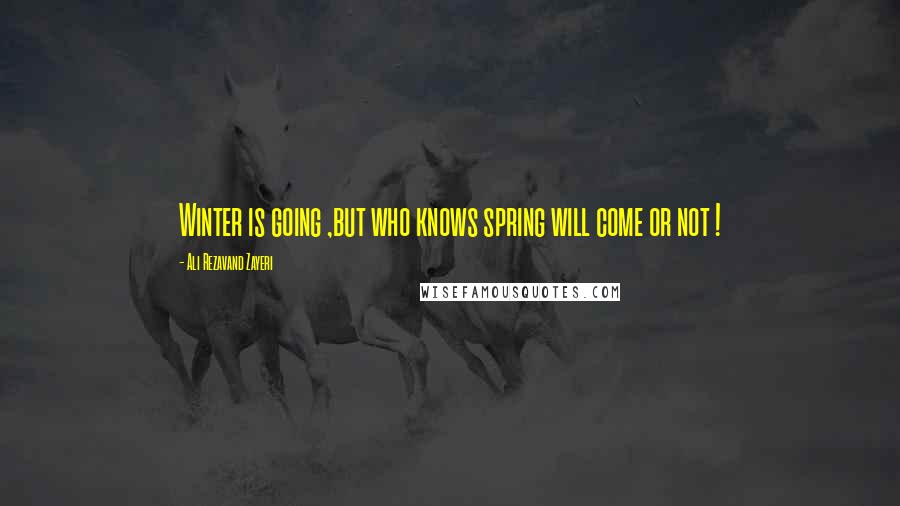 Ali Rezavand Zayeri Quotes: Winter is going ,but who knows spring will come or not !