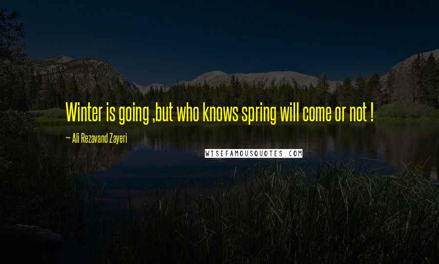 Ali Rezavand Zayeri Quotes: Winter is going ,but who knows spring will come or not !