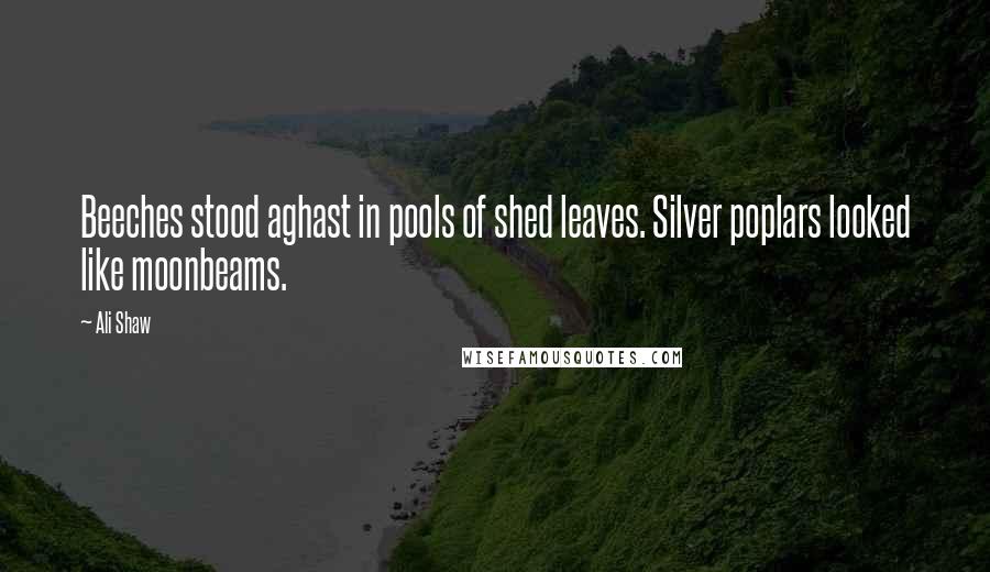 Ali Shaw Quotes: Beeches stood aghast in pools of shed leaves. Silver poplars looked like moonbeams.