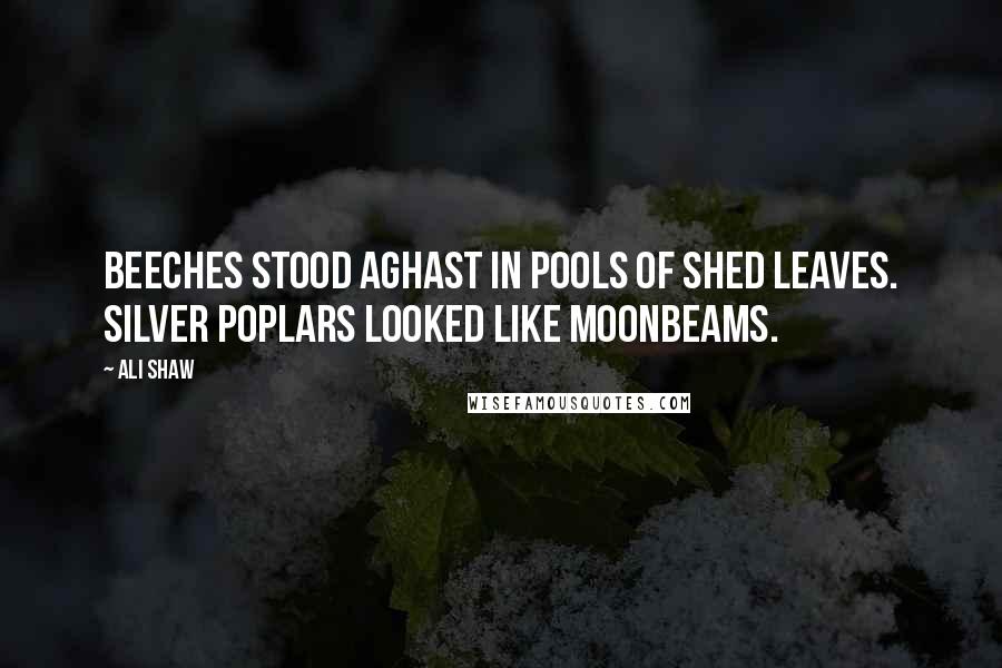 Ali Shaw Quotes: Beeches stood aghast in pools of shed leaves. Silver poplars looked like moonbeams.