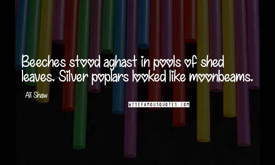 Ali Shaw Quotes: Beeches stood aghast in pools of shed leaves. Silver poplars looked like moonbeams.