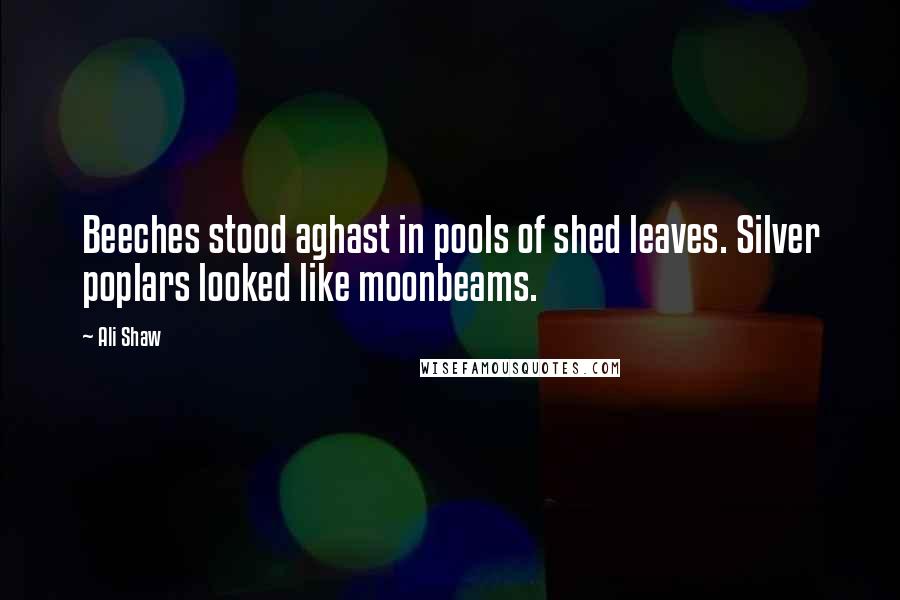 Ali Shaw Quotes: Beeches stood aghast in pools of shed leaves. Silver poplars looked like moonbeams.