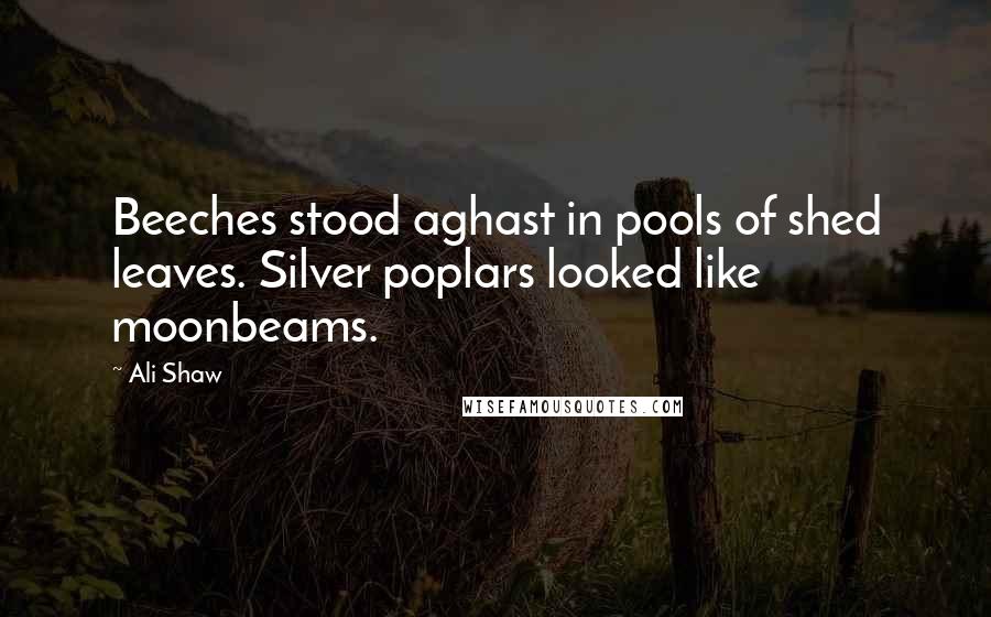 Ali Shaw Quotes: Beeches stood aghast in pools of shed leaves. Silver poplars looked like moonbeams.