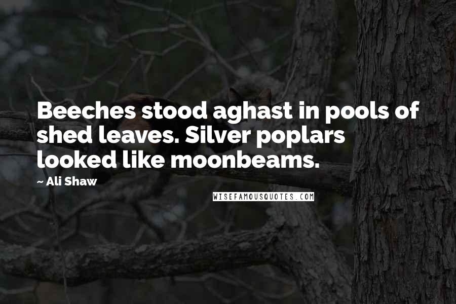 Ali Shaw Quotes: Beeches stood aghast in pools of shed leaves. Silver poplars looked like moonbeams.