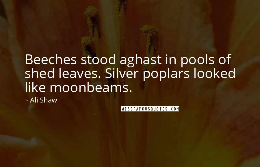 Ali Shaw Quotes: Beeches stood aghast in pools of shed leaves. Silver poplars looked like moonbeams.