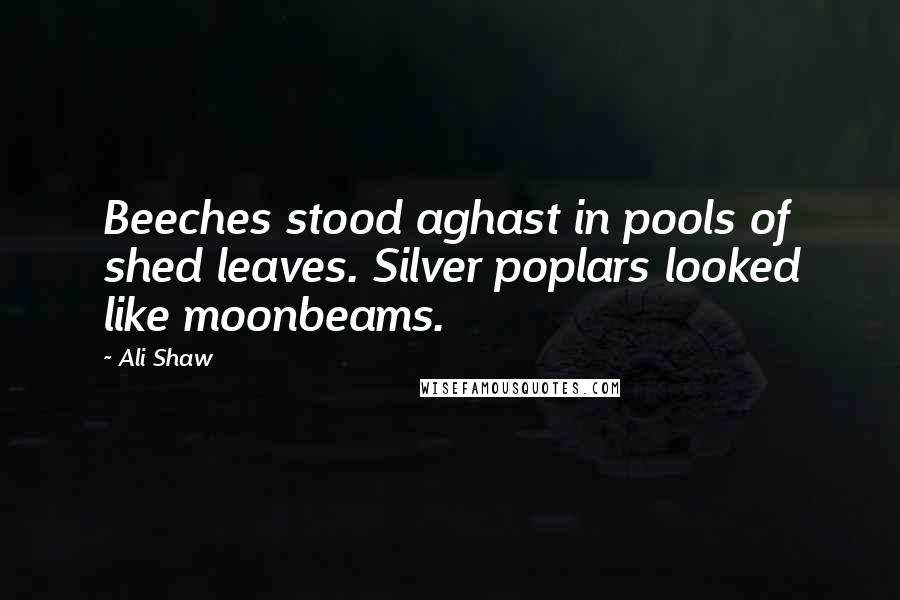 Ali Shaw Quotes: Beeches stood aghast in pools of shed leaves. Silver poplars looked like moonbeams.