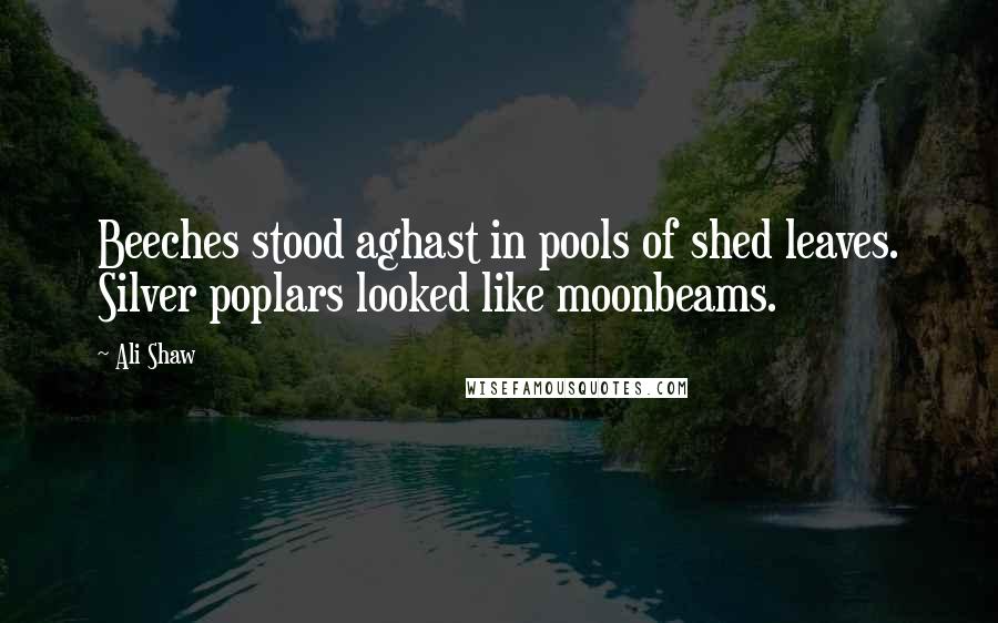 Ali Shaw Quotes: Beeches stood aghast in pools of shed leaves. Silver poplars looked like moonbeams.