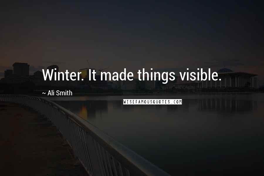 Ali Smith Quotes: Winter. It made things visible.