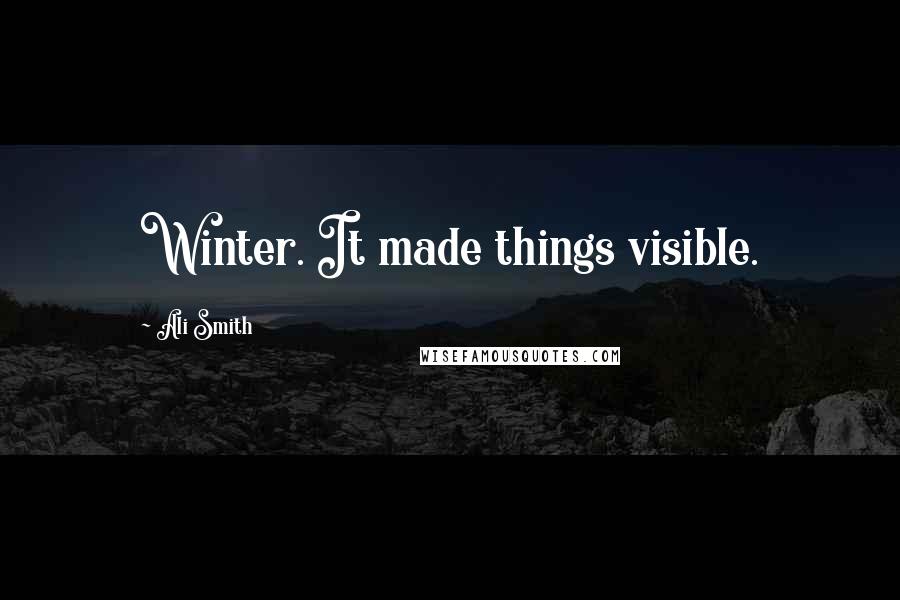 Ali Smith Quotes: Winter. It made things visible.