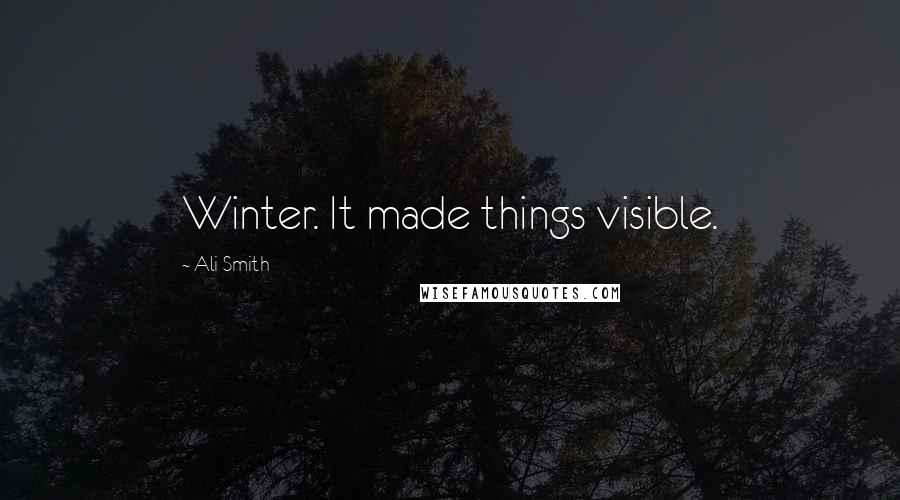 Ali Smith Quotes: Winter. It made things visible.