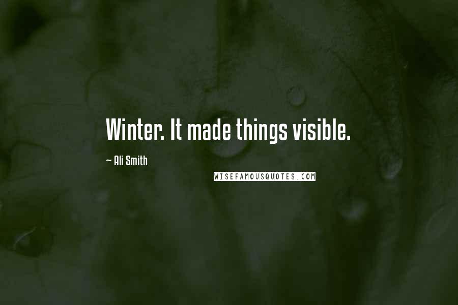 Ali Smith Quotes: Winter. It made things visible.