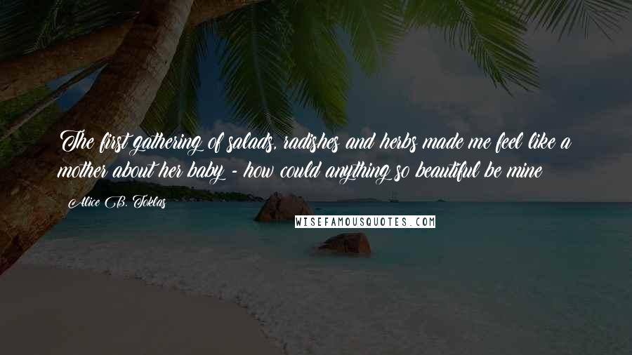 Alice B. Toklas Quotes: The first gathering of salads, radishes and herbs made me feel like a mother about her baby - how could anything so beautiful be mine?