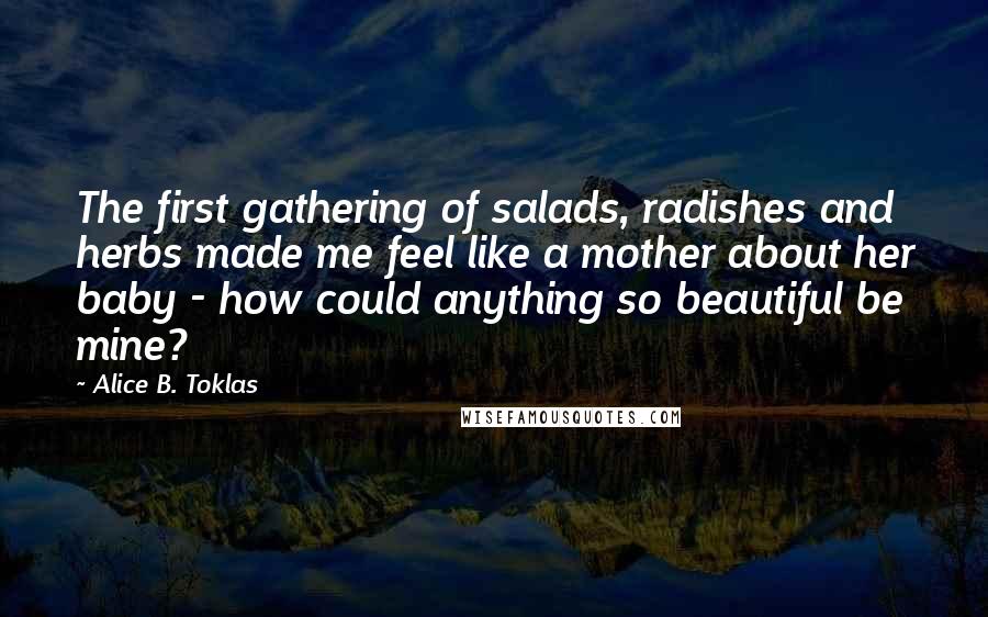 Alice B. Toklas Quotes: The first gathering of salads, radishes and herbs made me feel like a mother about her baby - how could anything so beautiful be mine?