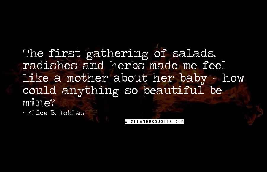 Alice B. Toklas Quotes: The first gathering of salads, radishes and herbs made me feel like a mother about her baby - how could anything so beautiful be mine?