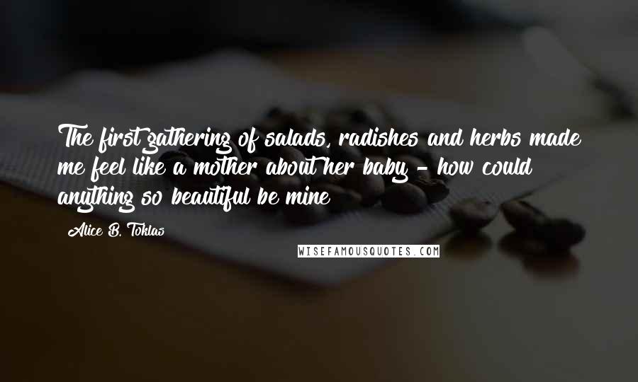 Alice B. Toklas Quotes: The first gathering of salads, radishes and herbs made me feel like a mother about her baby - how could anything so beautiful be mine?