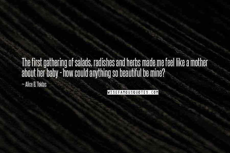 Alice B. Toklas Quotes: The first gathering of salads, radishes and herbs made me feel like a mother about her baby - how could anything so beautiful be mine?