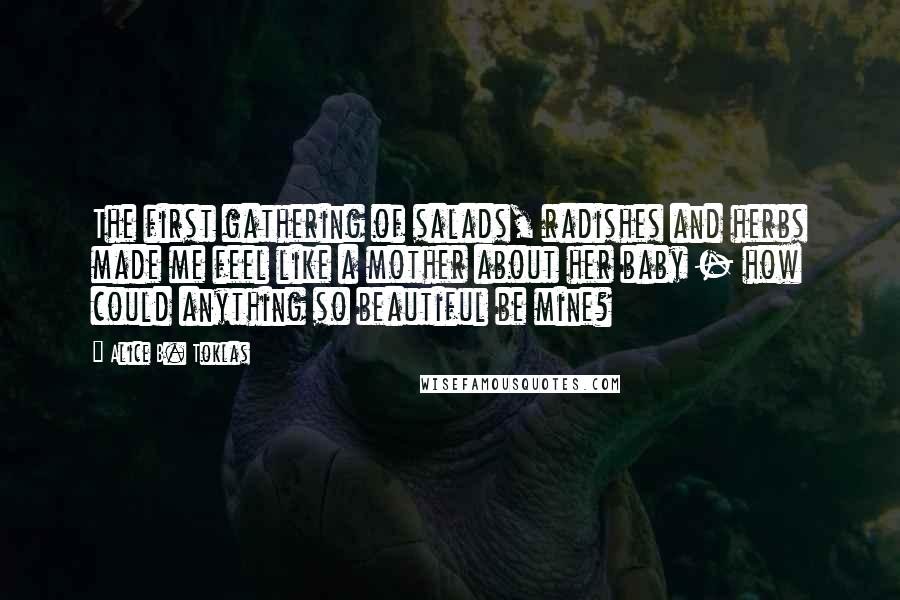 Alice B. Toklas Quotes: The first gathering of salads, radishes and herbs made me feel like a mother about her baby - how could anything so beautiful be mine?