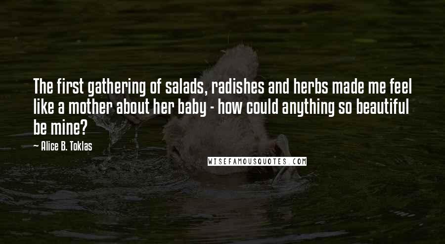 Alice B. Toklas Quotes: The first gathering of salads, radishes and herbs made me feel like a mother about her baby - how could anything so beautiful be mine?