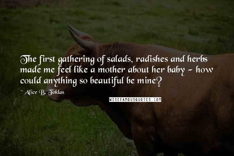 Alice B. Toklas Quotes: The first gathering of salads, radishes and herbs made me feel like a mother about her baby - how could anything so beautiful be mine?