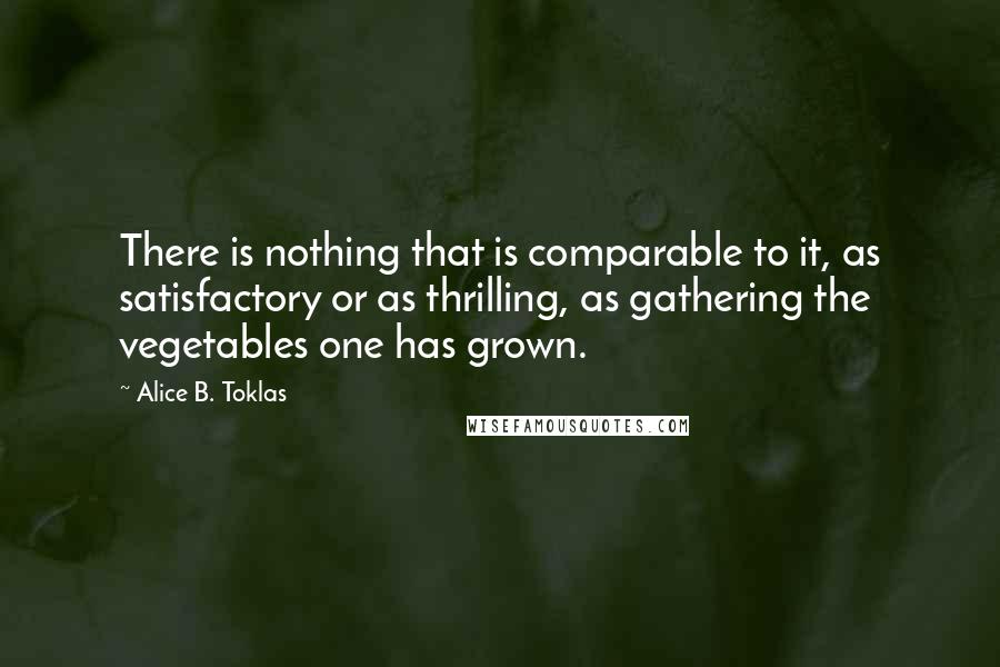 Alice B. Toklas Quotes: There is nothing that is comparable to it, as satisfactory or as thrilling, as gathering the vegetables one has grown.