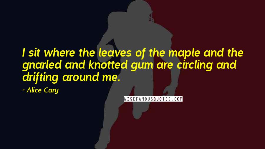 Alice Cary Quotes: I sit where the leaves of the maple and the gnarled and knotted gum are circling and drifting around me.